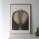 Color Etching  Antonia Dombrowsky 1991-  Color Engraving - handmade Bütten-