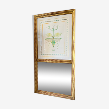 Trumeau old gilded mirror