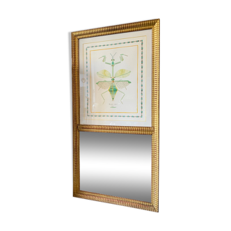 Trumeau old gilded mirror