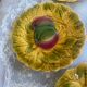 Set of 6 dessert plates in Sarreguemines majolica.