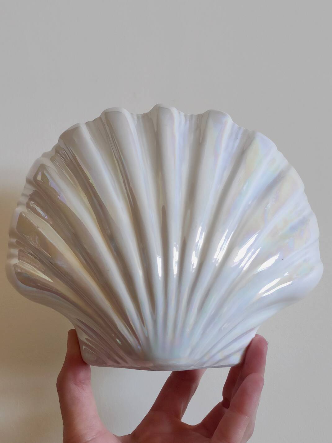 Scallop shell vase