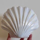 Scallop shell vase