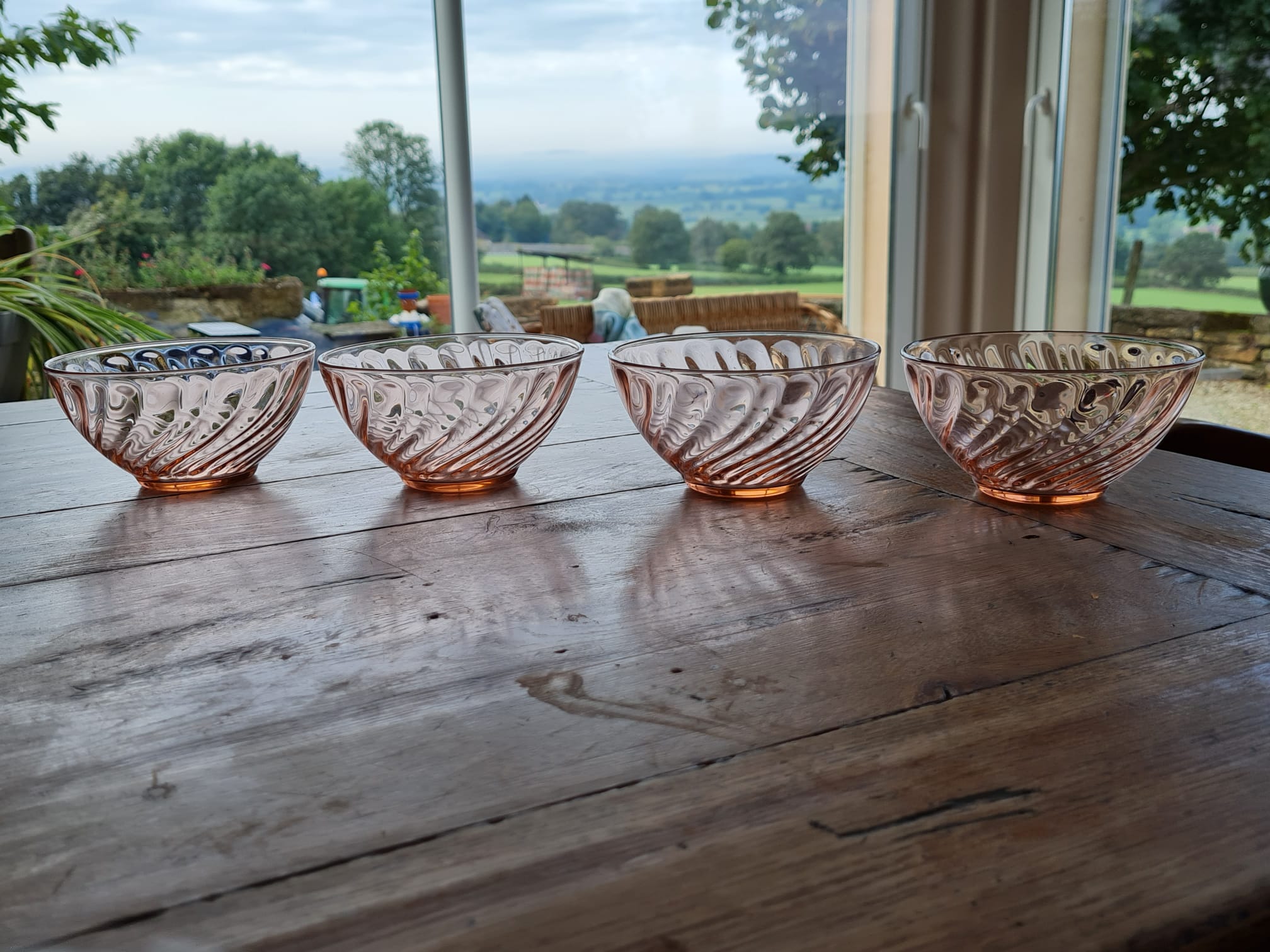 Set of 4 bowls arcopal model rosaline