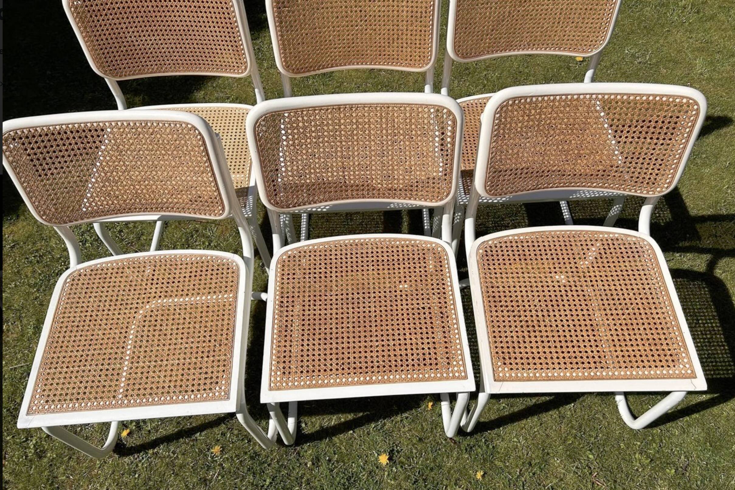 6 chaises Cesca