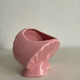 Pink shell