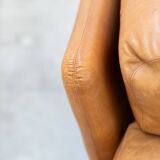 Pair of armchairs with cognac-colored pouf, "Coronado" model by Afra & Tobia scarpa for B&B It
