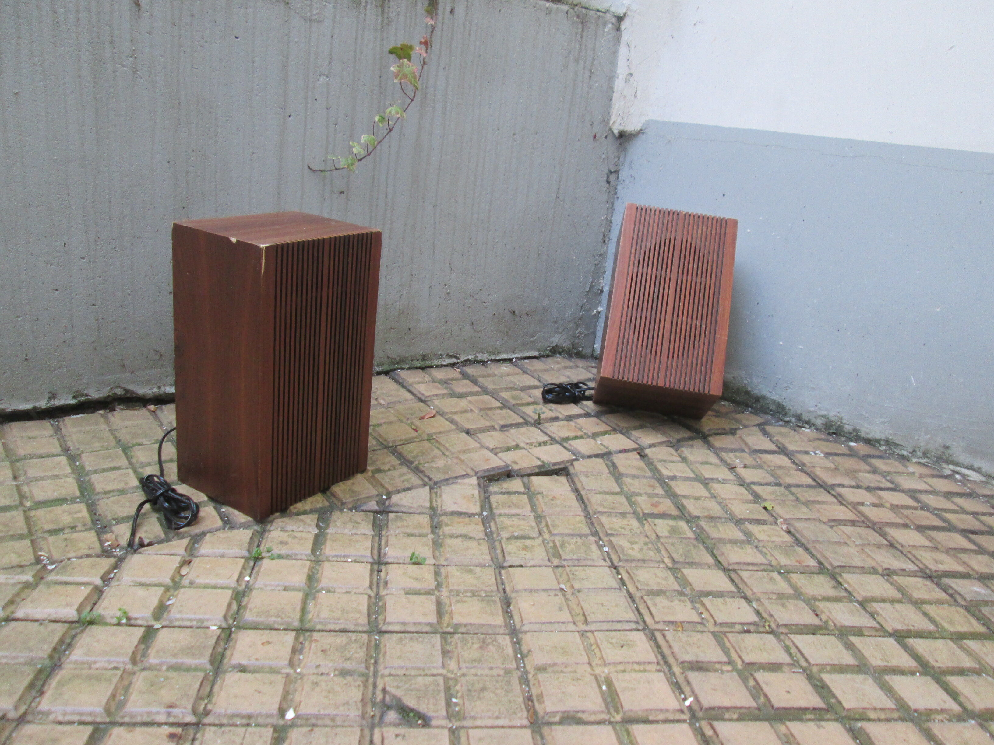 Pregnant pair Italian wood