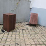 Pregnant pair Italian wood