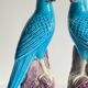Pair of phenix birds chinese porcelain early 20th century