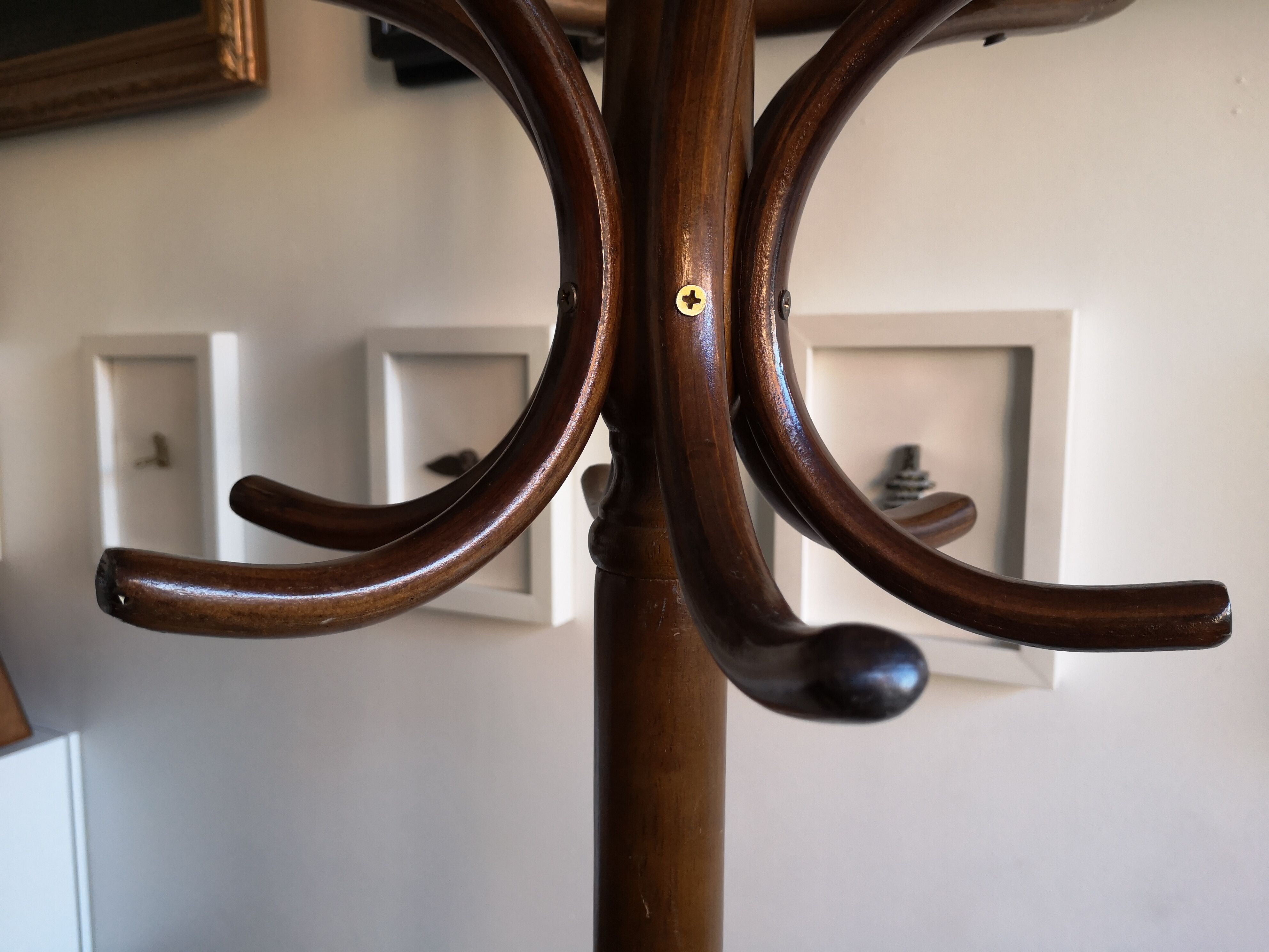 Dark wooden parrot coat holder 12 patères