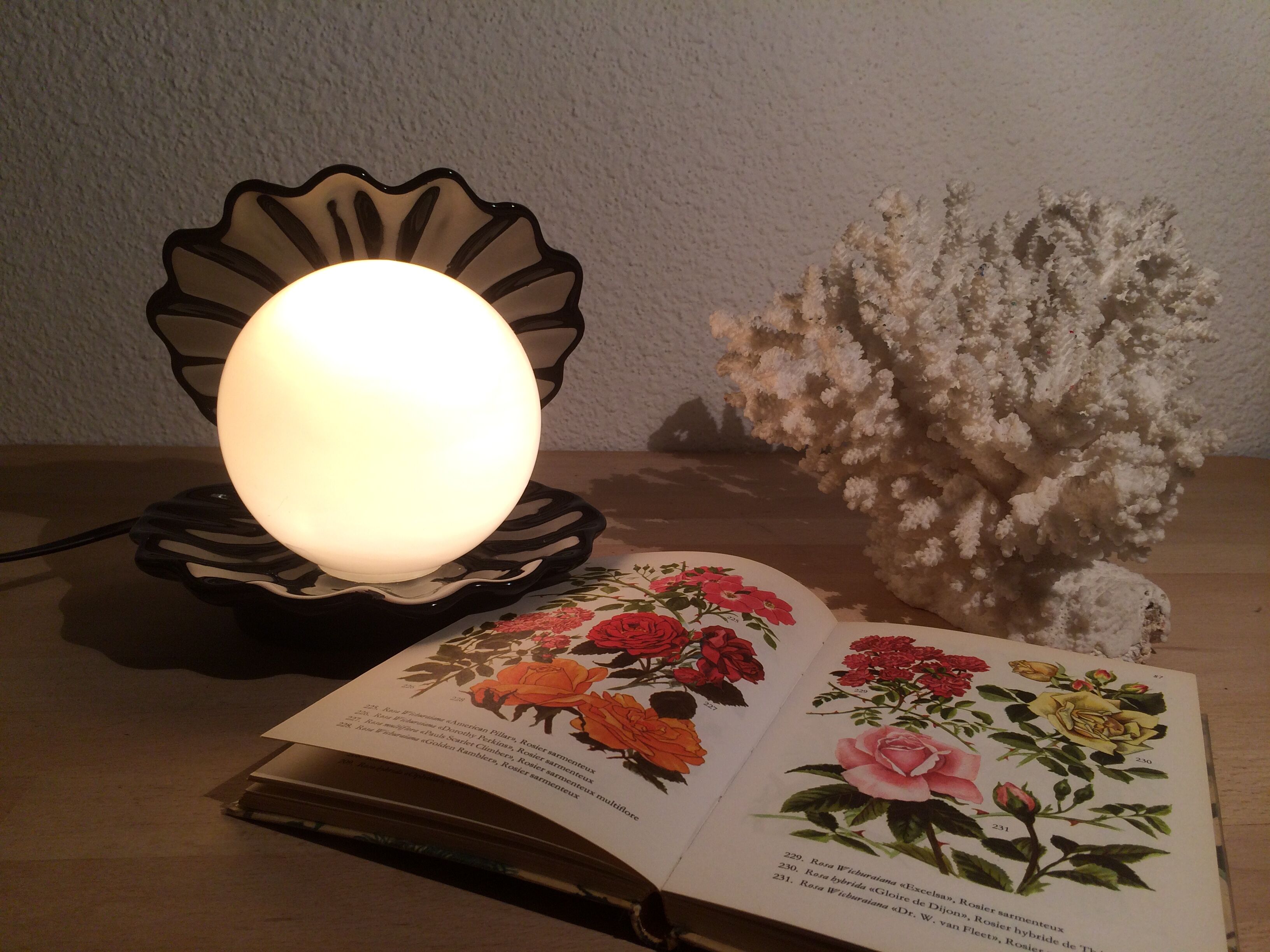 Black ceramic shell lamp and opaline pearl