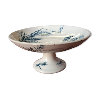 Old fruit cup