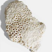 Sculptural White Coral Fossil, Organic Modern Decor from South Asia