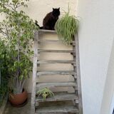 Workshop staircase in vintage raw wood