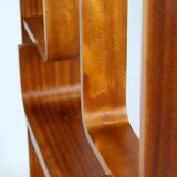 Restored Mid-Century Room Divider by L. Volak for Drevopodnik Holesov, 1960s