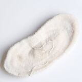 White coral, cabinet of curiosities, 70s