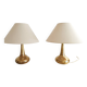 pair of Hammerborg lamps, Orient Fog model @ Meurop