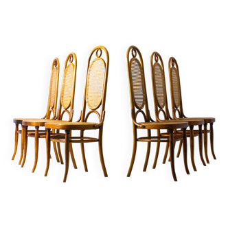 Set of 6 Thonet chairs model 207
