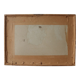 Cadre lithographie botanique plante exotique