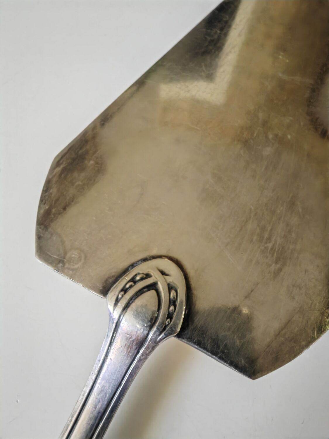 Orbrille cake shovel