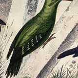 Planche ornithologique originale " Promerops rayé, Guépier commun, Angoulevent de Buffon, 1838