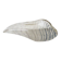 Vide poche coquillage