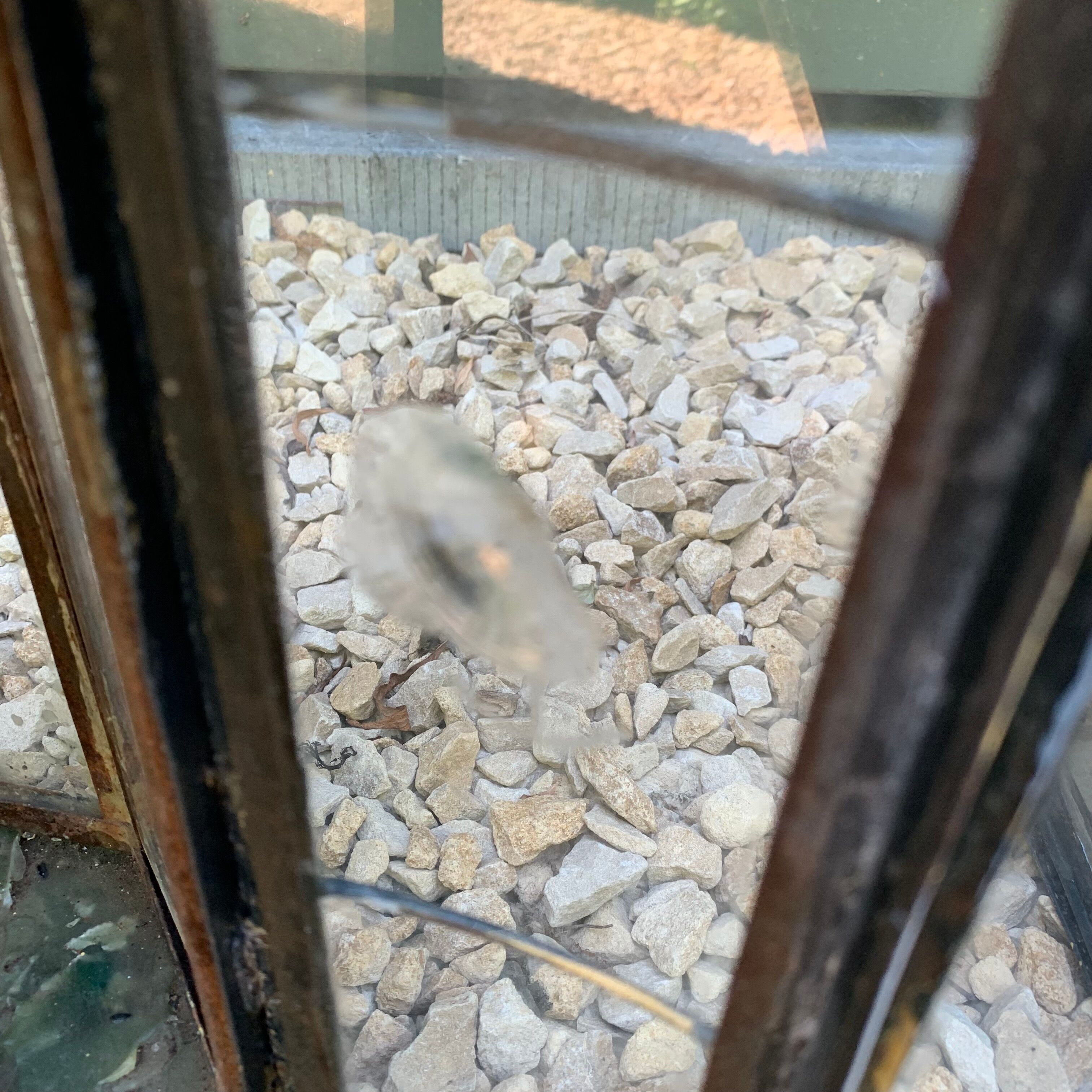 Pair of boat lanterns