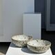 Duo of speckled ceramic bowls