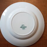 Old plate