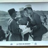 Original photograph from 1932 - silver print