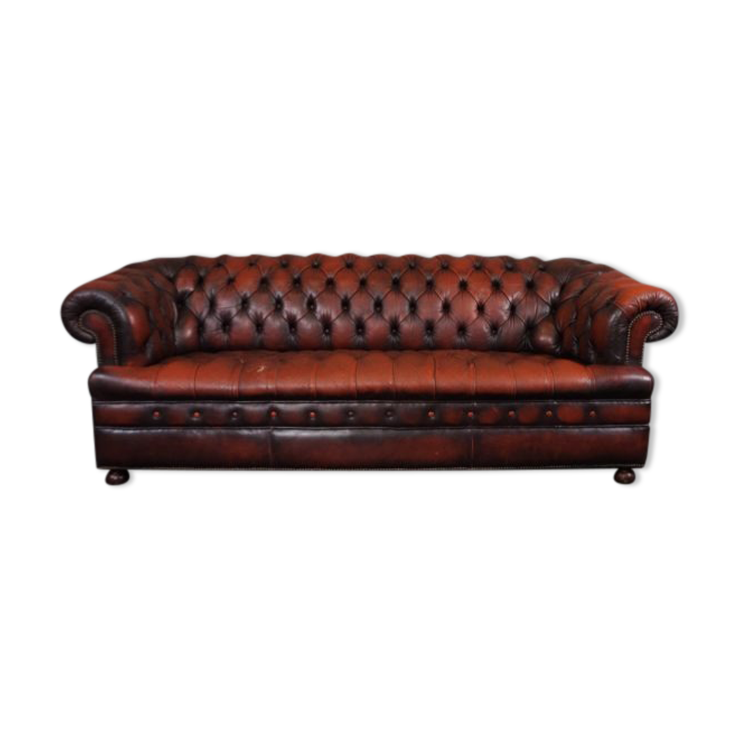 Chesterfield sofa in resistant cowhide, 3 seats