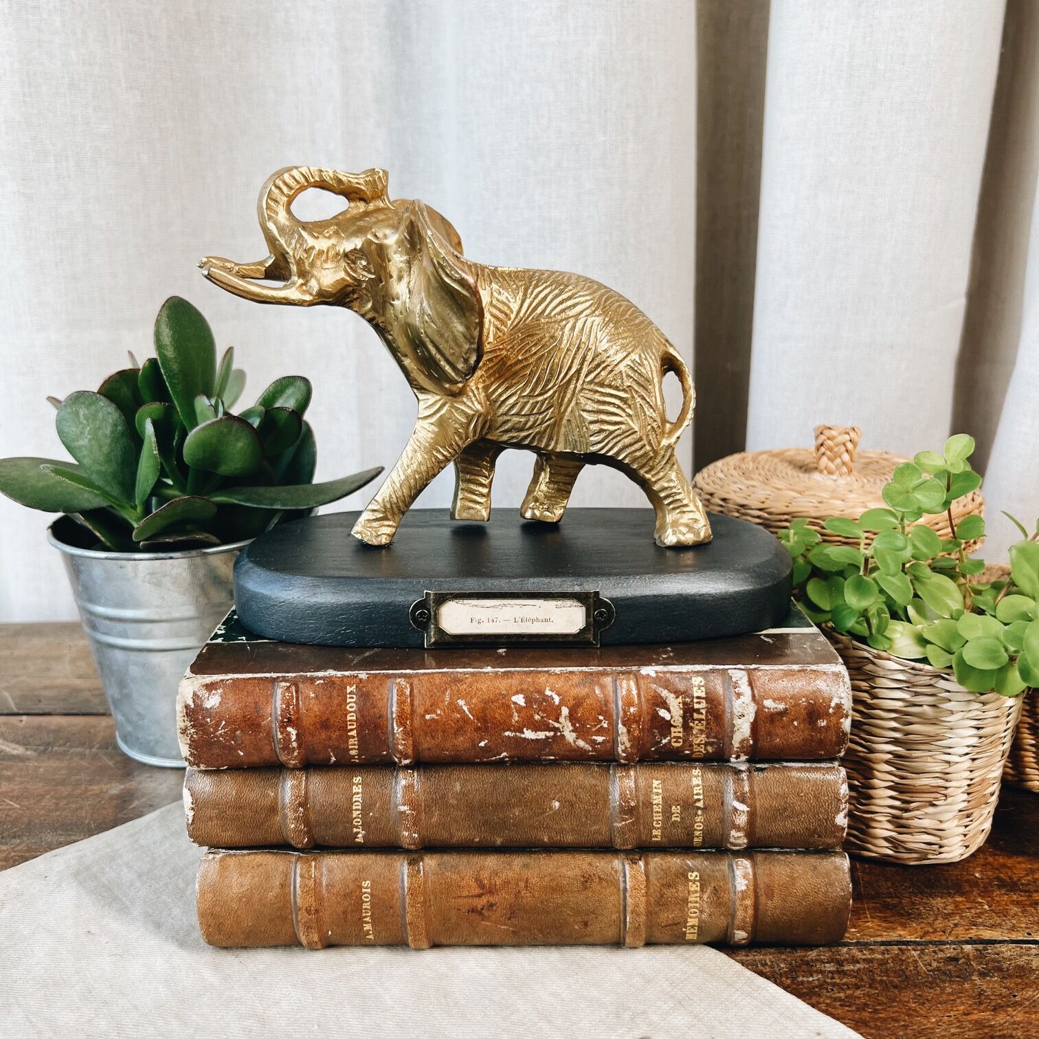 Bronze elephant on pedestal
