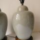 Pair of celadon crackle ceramic lamp bases decorated with flowers.