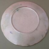 Onnaing grape bunches dabbling plate