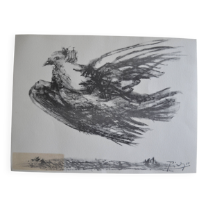 Picasso Lithographie - colombe