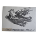 Picasso Lithographie originale 1959 La colombe en vol 38x28cm
