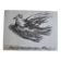 Picasso Lithographie originale 1959 La colombe en vol 38x28cm