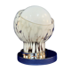 Table lamp by Angelo Brotto for Esperia Circa 1970