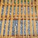 Fauteuils en osier ou rotin