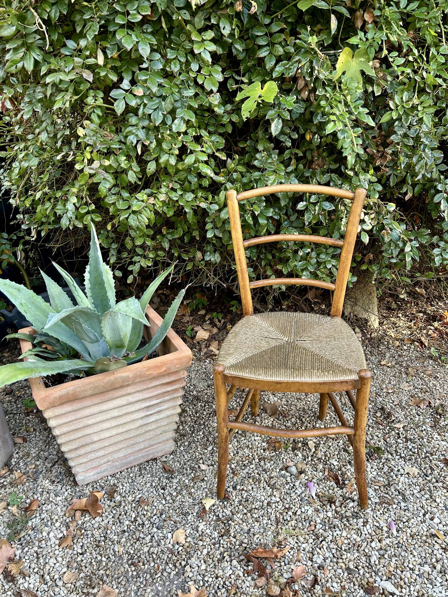 Vintage golden straw chair