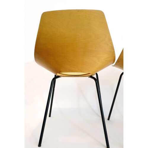 Série de 6 chaises Tonneau, Pierre Guariche, Steiner, 1960