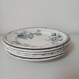 Set of 6 Terre de Fer plates, Acacia model