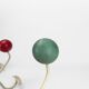 Wooden coat rack