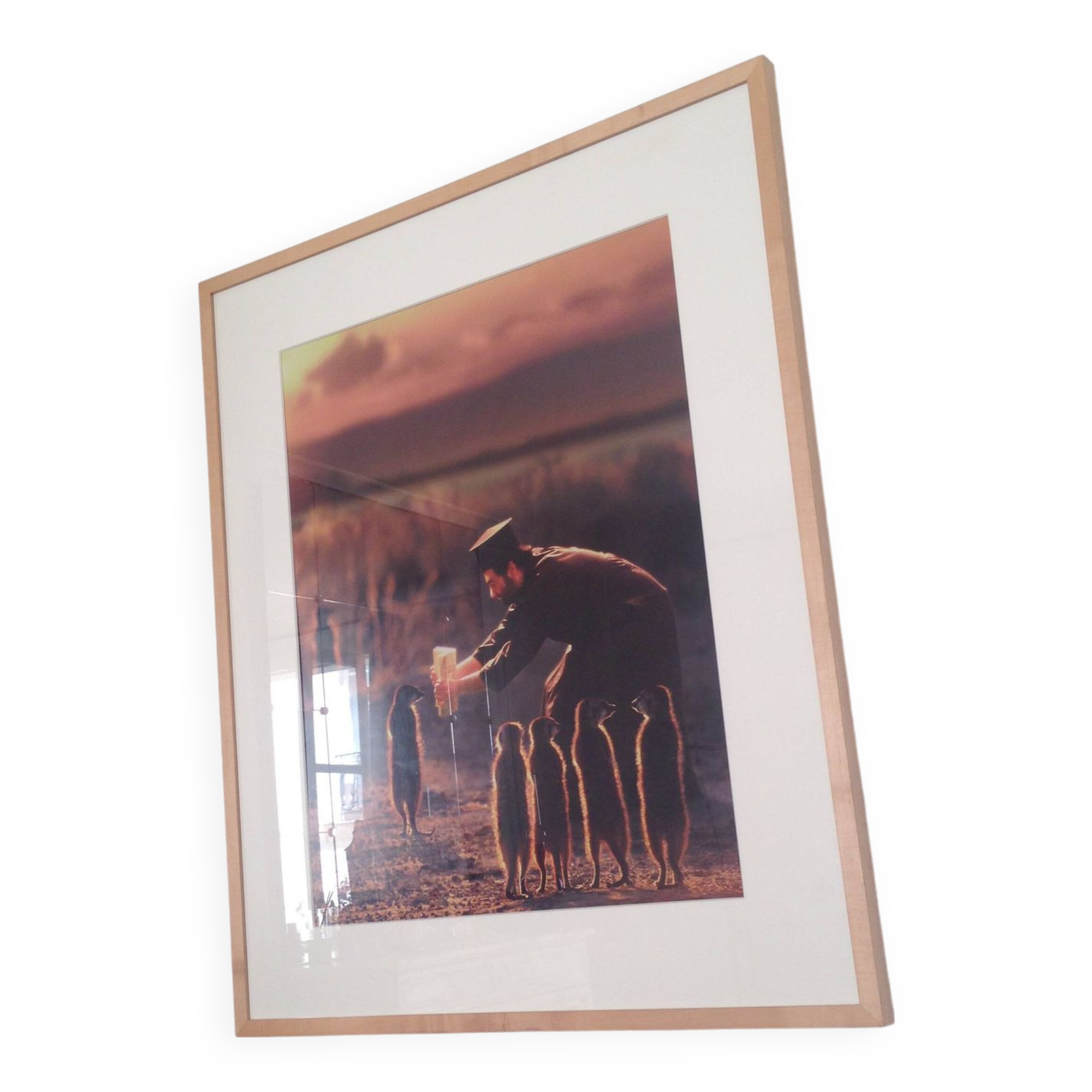 Photography by Joan Fontcuberta original authentic artwork 5/5 series Miracles & Co