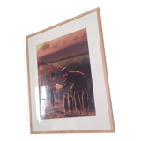 Photography by Joan Fontcuberta original authentic artwork 5/5 series Miracles & Co