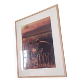 Photographie de Joan Fontcuberta original authentic artwork 5/5 serie Miracles & Co