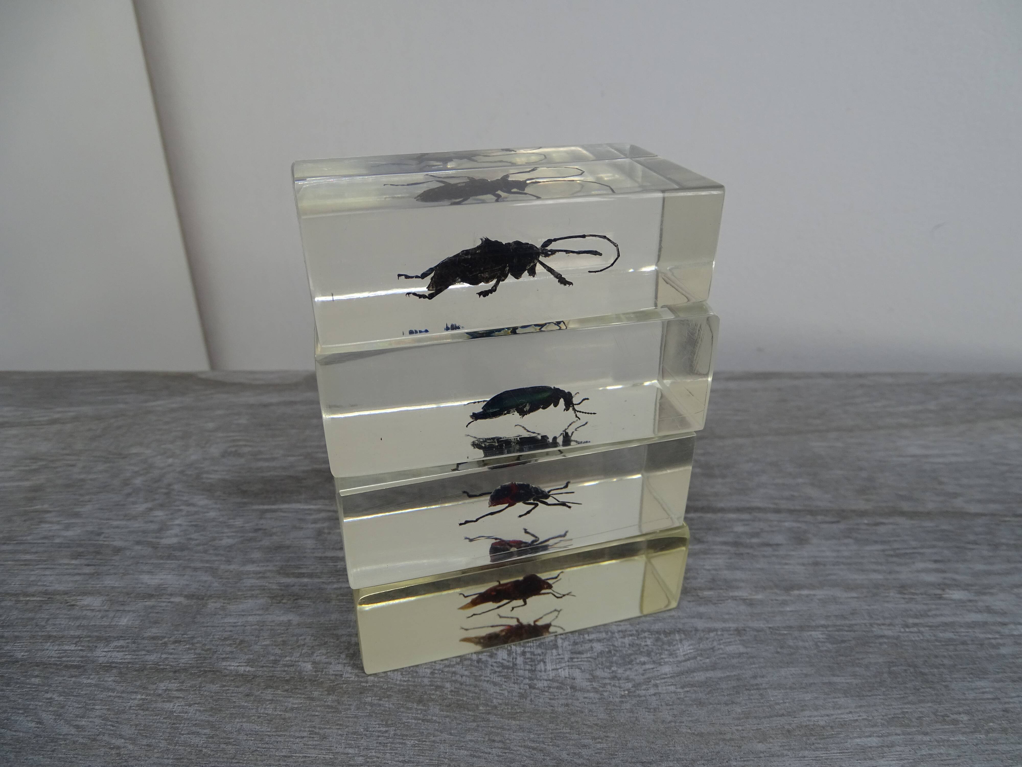 Lot 4 insects inclusions vintage resins to be identified