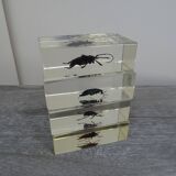 Lot 4 insects inclusions vintage resins to be identified