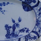 Dish