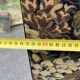 Grand paravent ancien trois panneaux tissu floral 200 cm